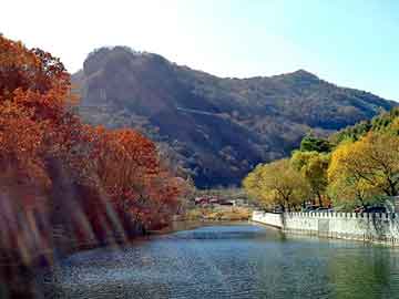 新澳天天开奖资料大全旅游团，四川海峡钓鱼网